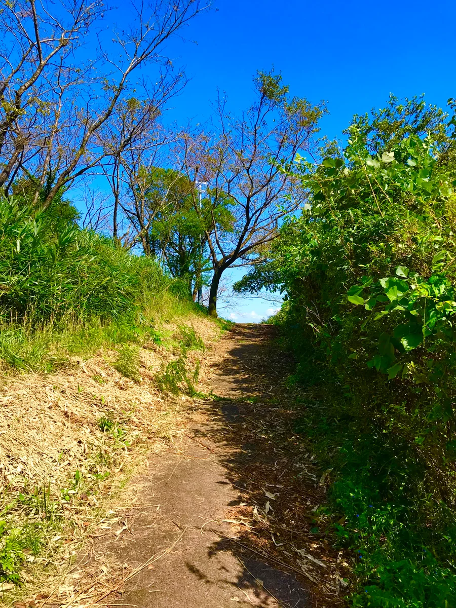 投稿写真：異世界への入り口