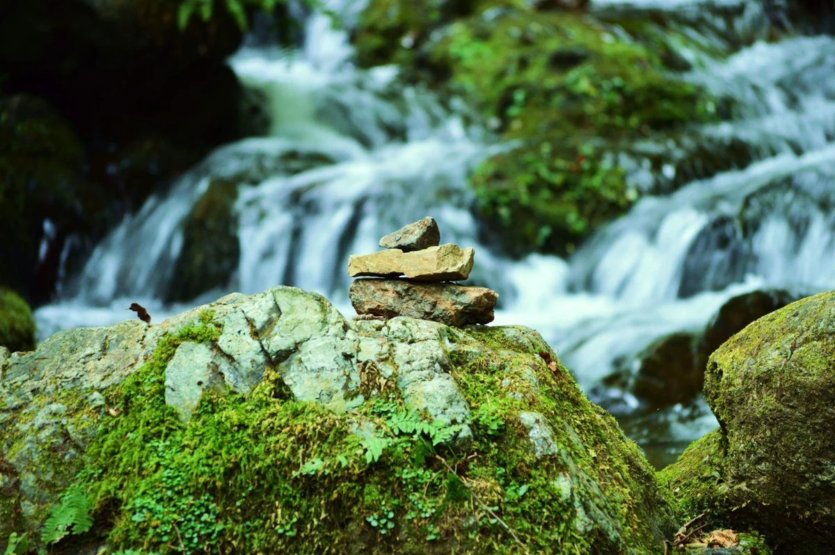 投稿写真：ロックガーデン