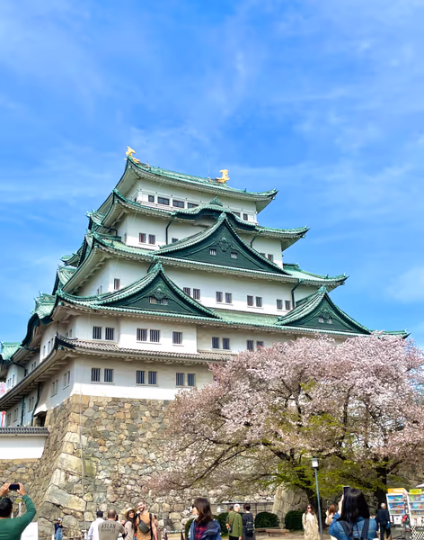 投稿：名古屋城