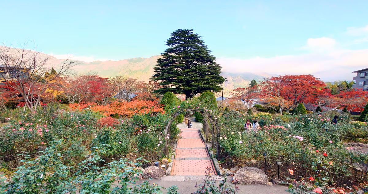 投稿写真：箱根強羅公園