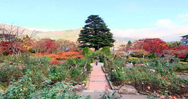 投稿：箱根強羅公園