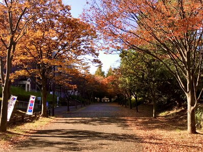 | 絶景事典