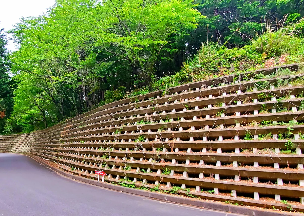 投稿写真：板チョコみたい