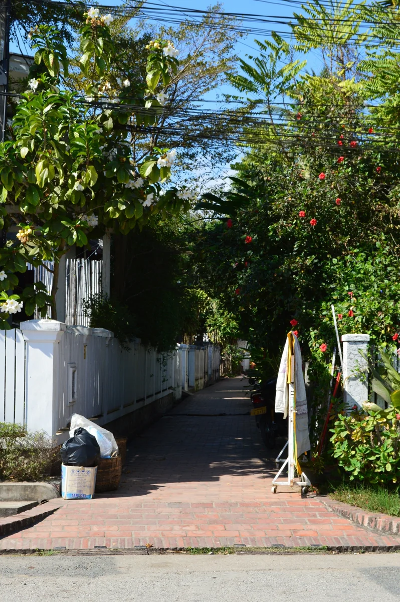 投稿写真：ラオスの路地