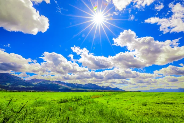 投稿：陽光を浴びた白金模範牧場