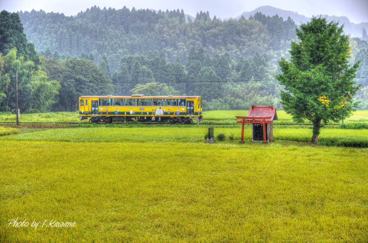 投稿写真：夏雨の里山鉄路