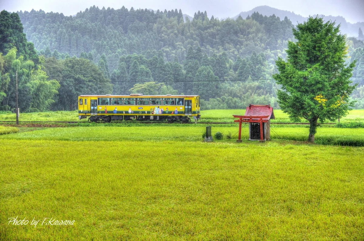 投稿写真：夏雨の里山鉄路