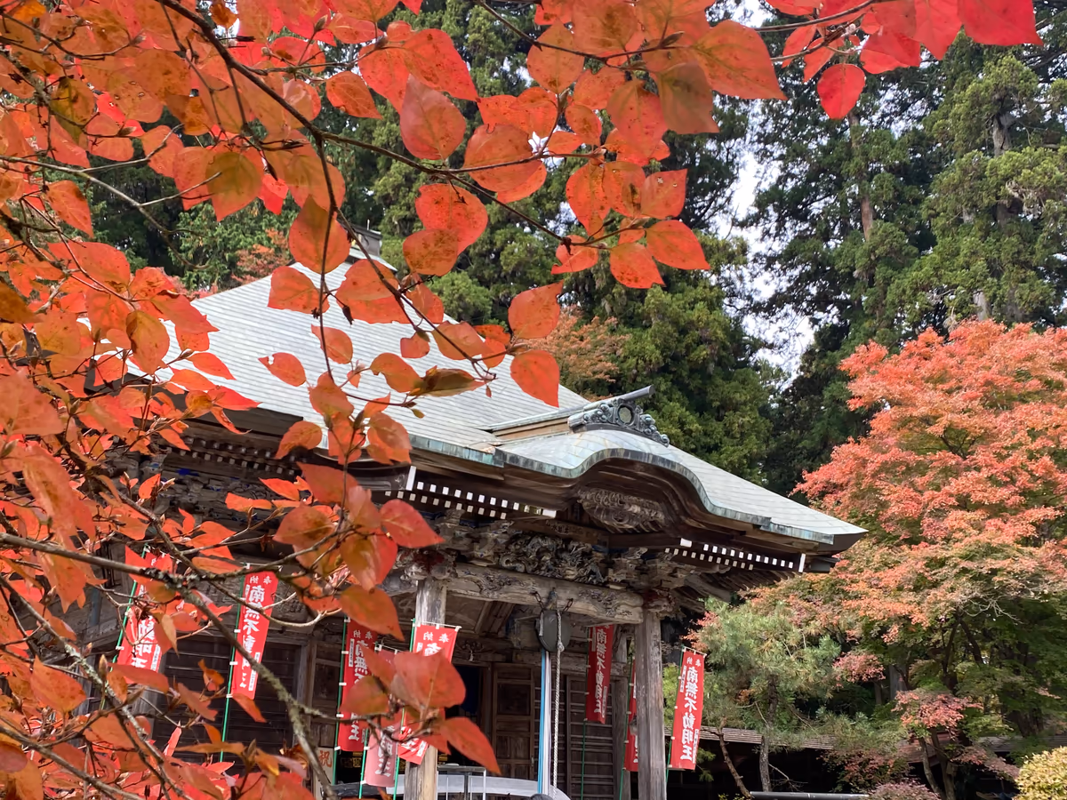 投稿写真：映える紅葉