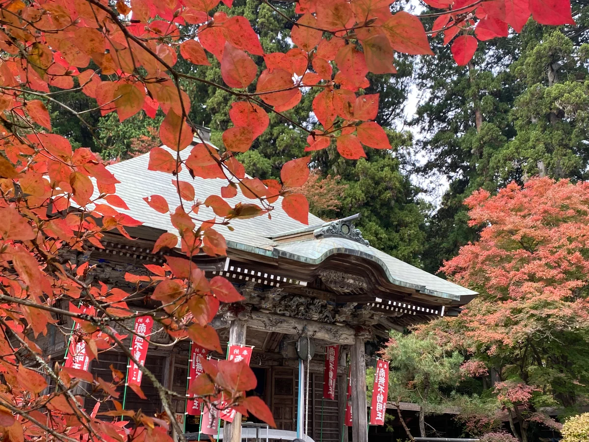 投稿写真：映える紅葉