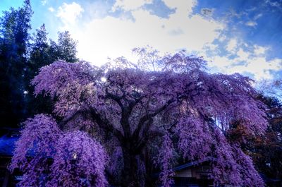  | 絶景事典