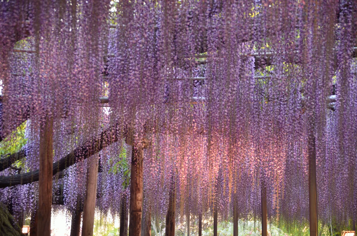 投稿写真：夕暮れ時
