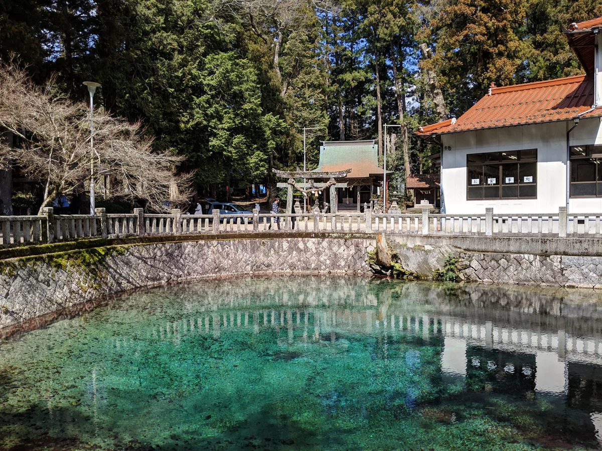 投稿写真：別府弁天池