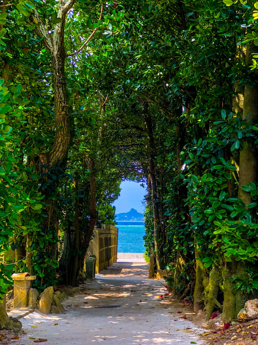 投稿写真：道を抜けた先に