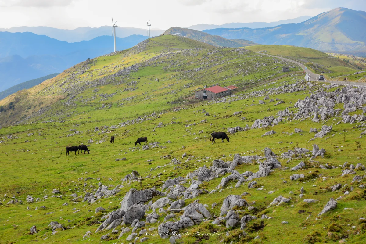 投稿写真：天空の道