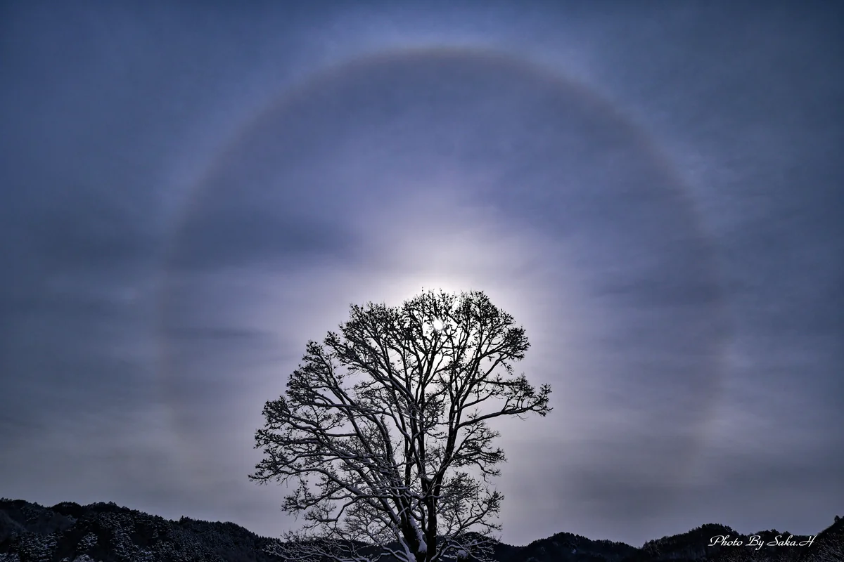 投稿写真：ハロ～