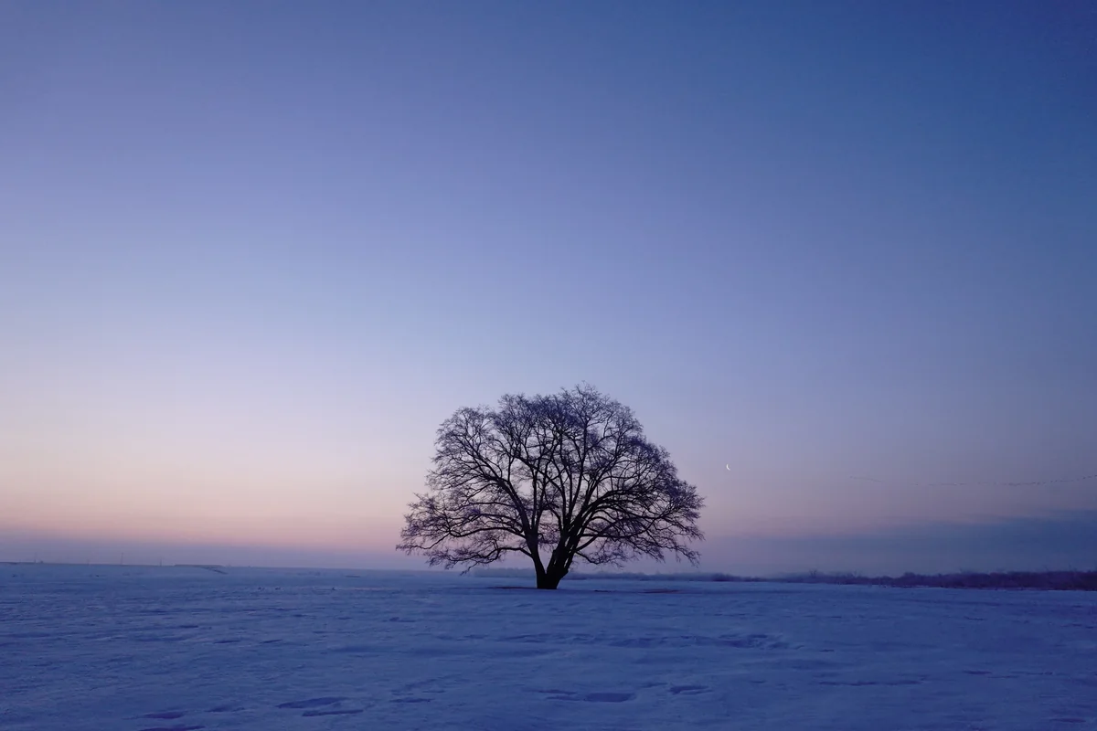 vintage1009さんの投稿写真