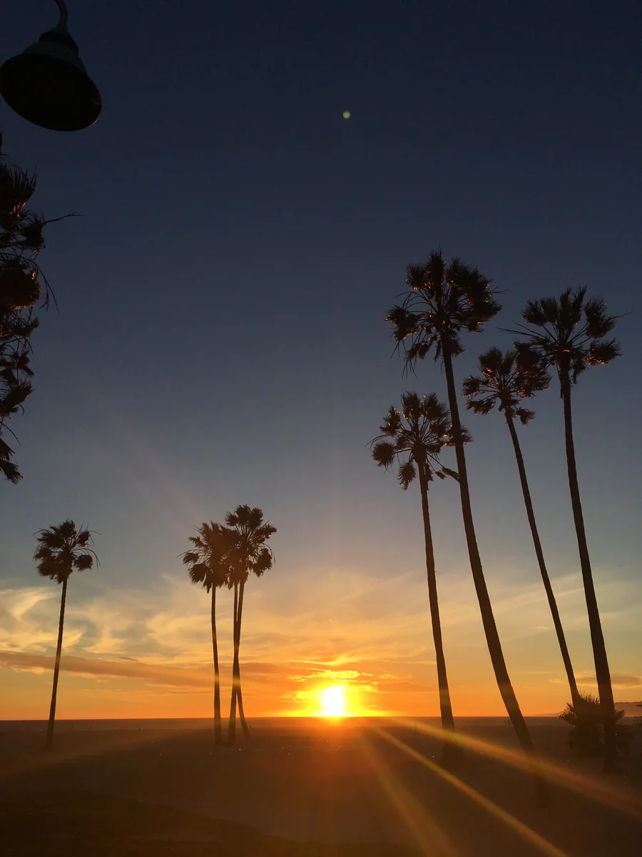 投稿写真：ベニスビーチ