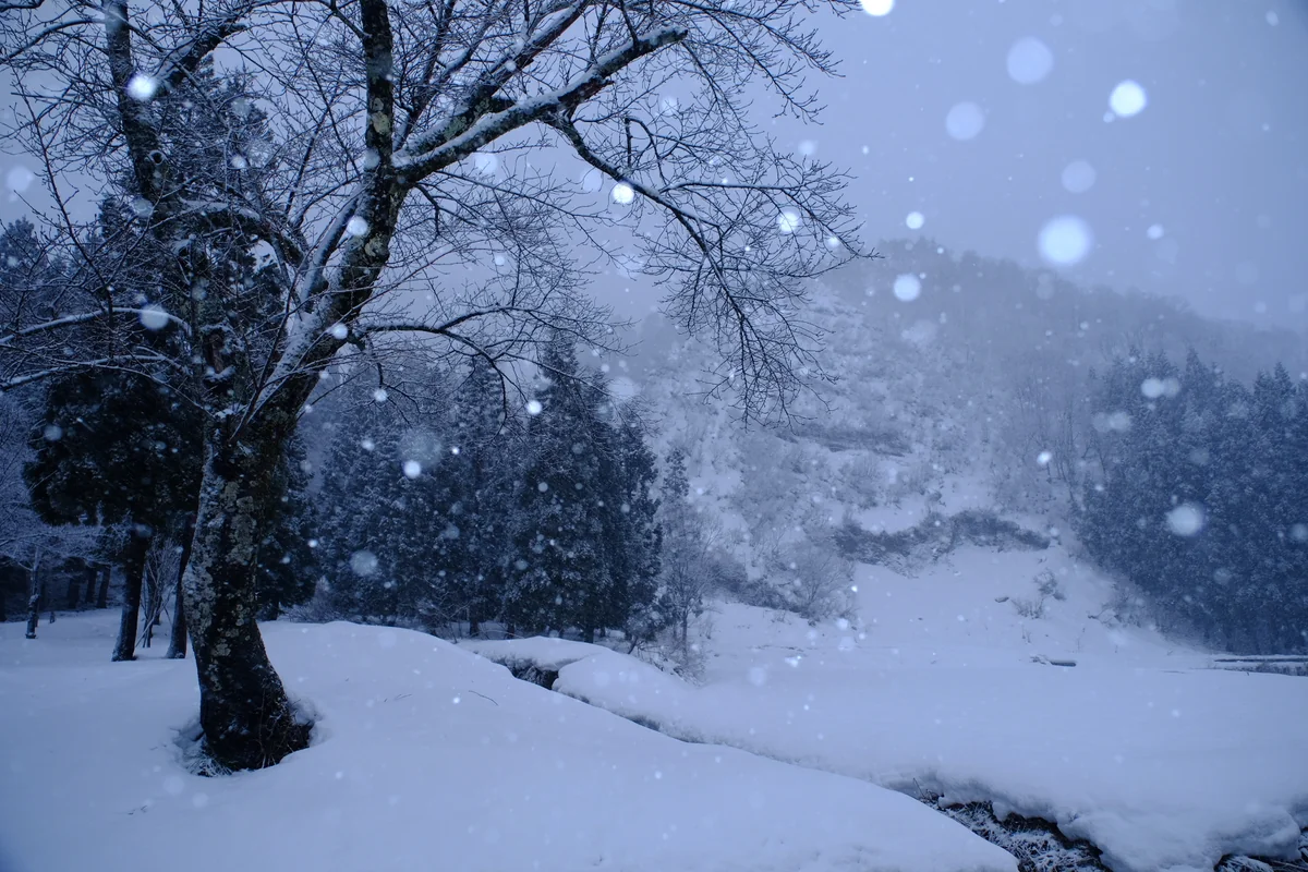 投稿写真：心，寝，と