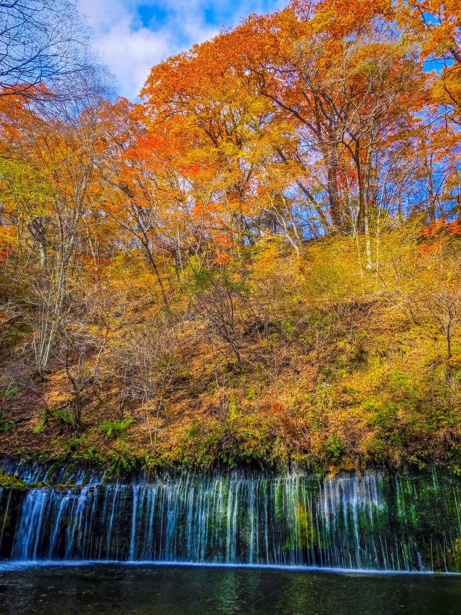 投稿写真：紅葉の白糸の滝
