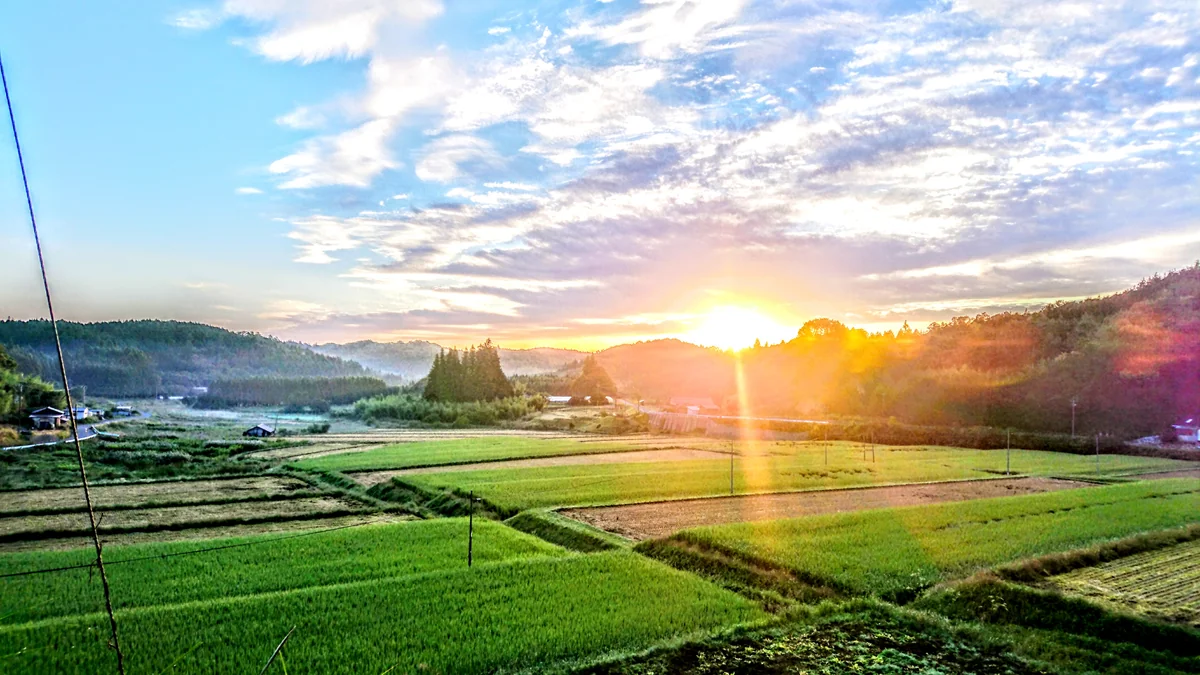 投稿写真：AM6:15