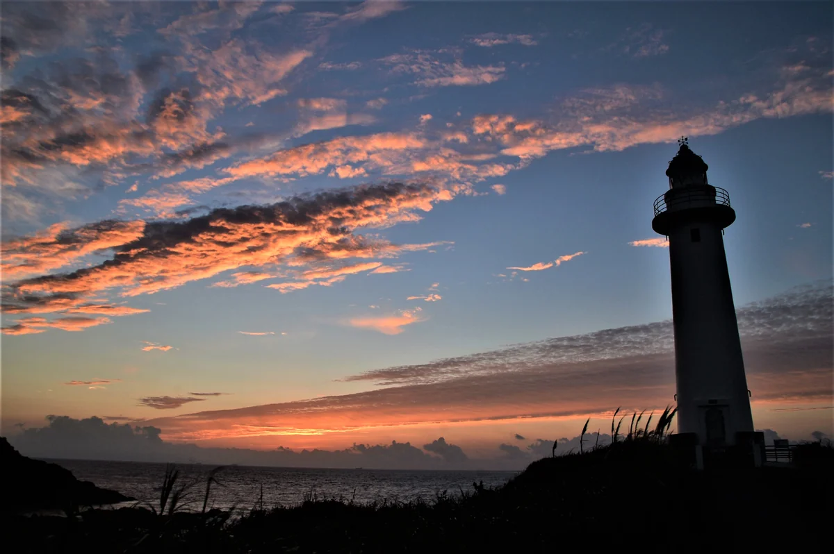 投稿写真：Alba 1