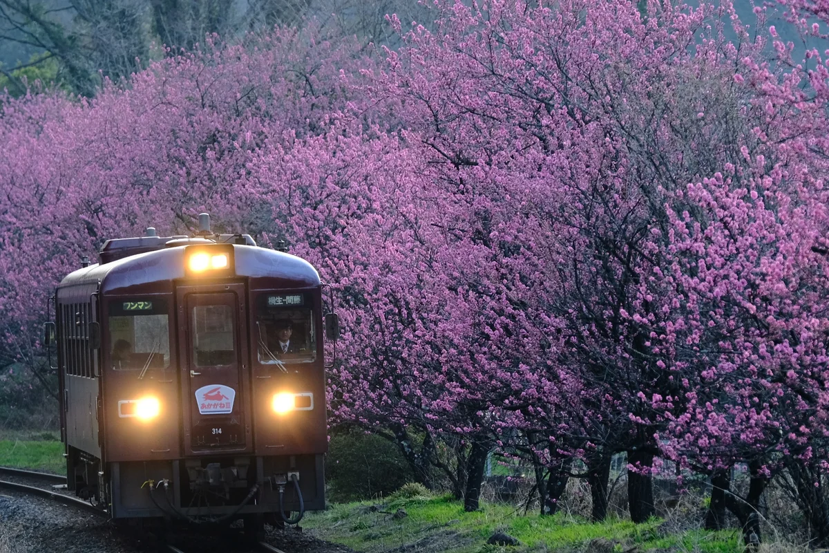 吉田 茂さんの投稿写真