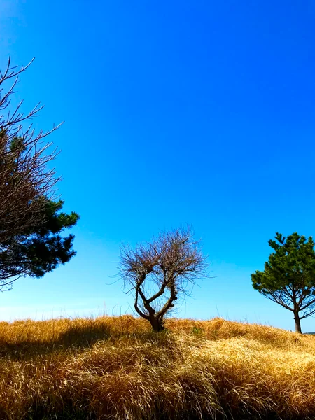 投稿：命の水を