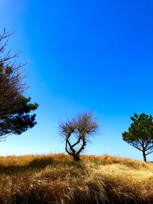 投稿：命の水を