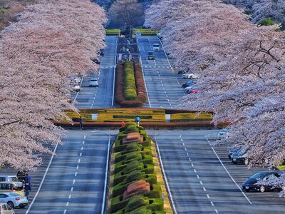  | 絶景事典