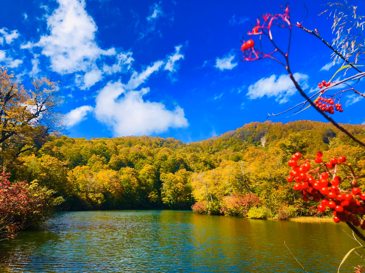 投稿写真：Otari villege KAMAIKE