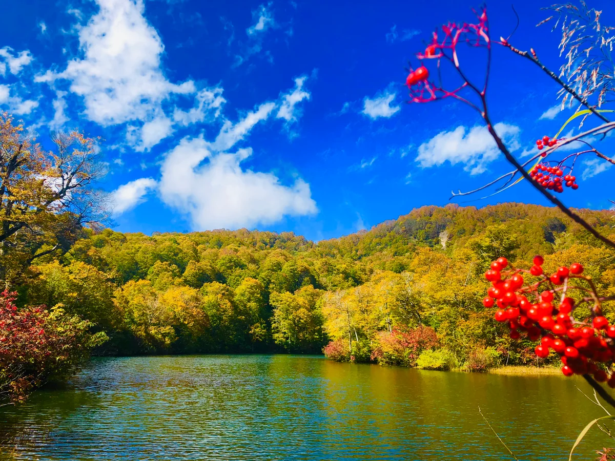投稿写真：Otari villege KAMAIKE