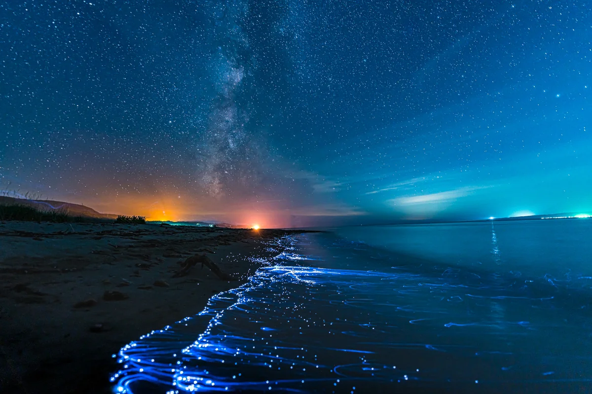 投稿写真：ウミホタルと星の煌めく砂浜【佐渡島】