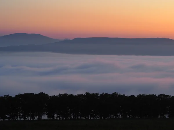 投稿：天空の夕暮れ