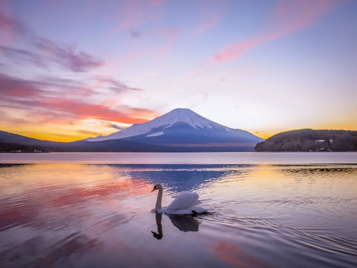 伊藤 和平さんの投稿写真
