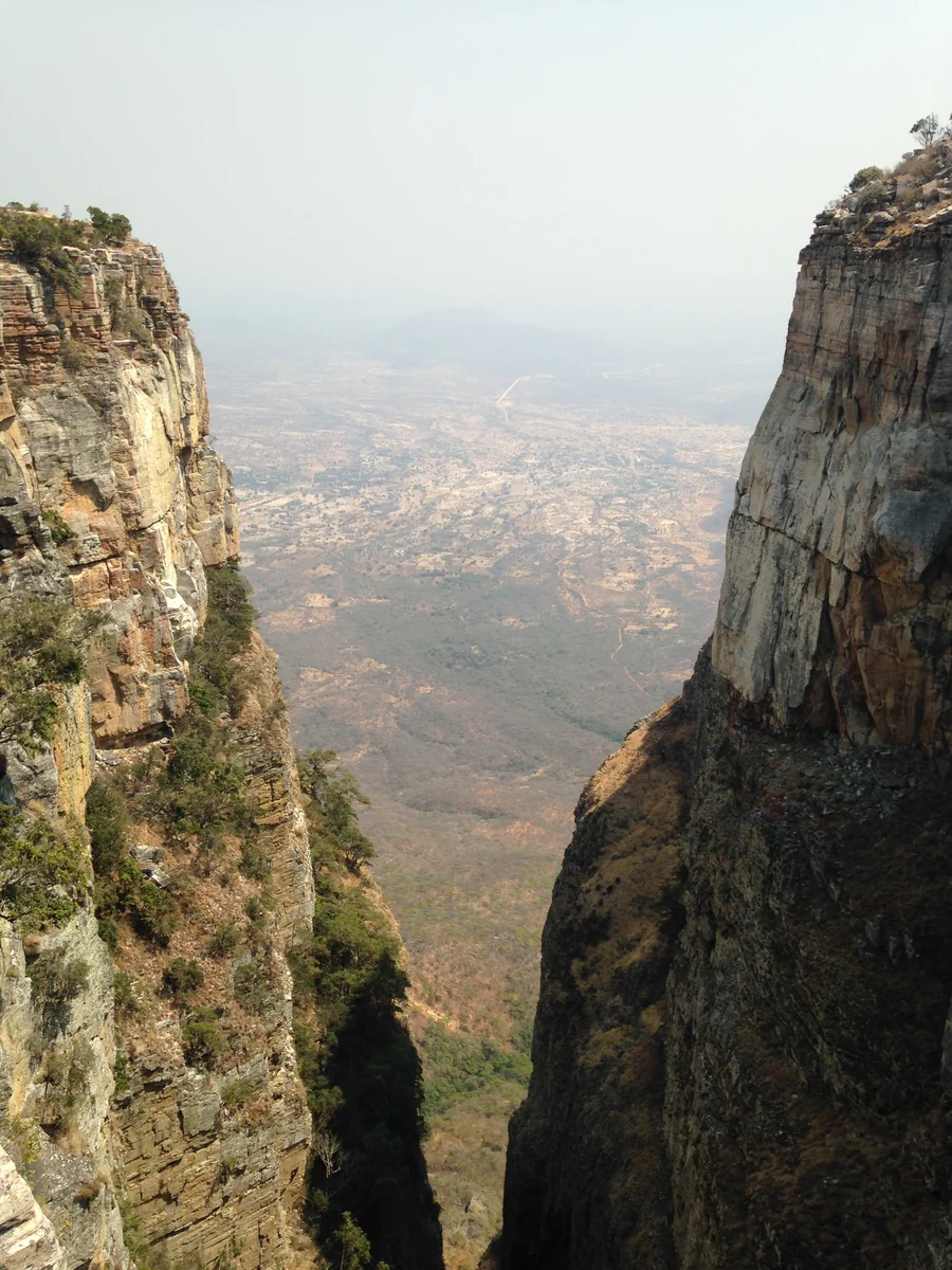 投稿写真：ツンダバラ