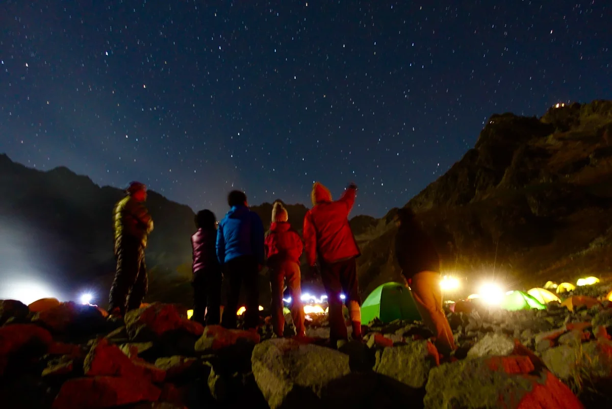 投稿写真：動くな