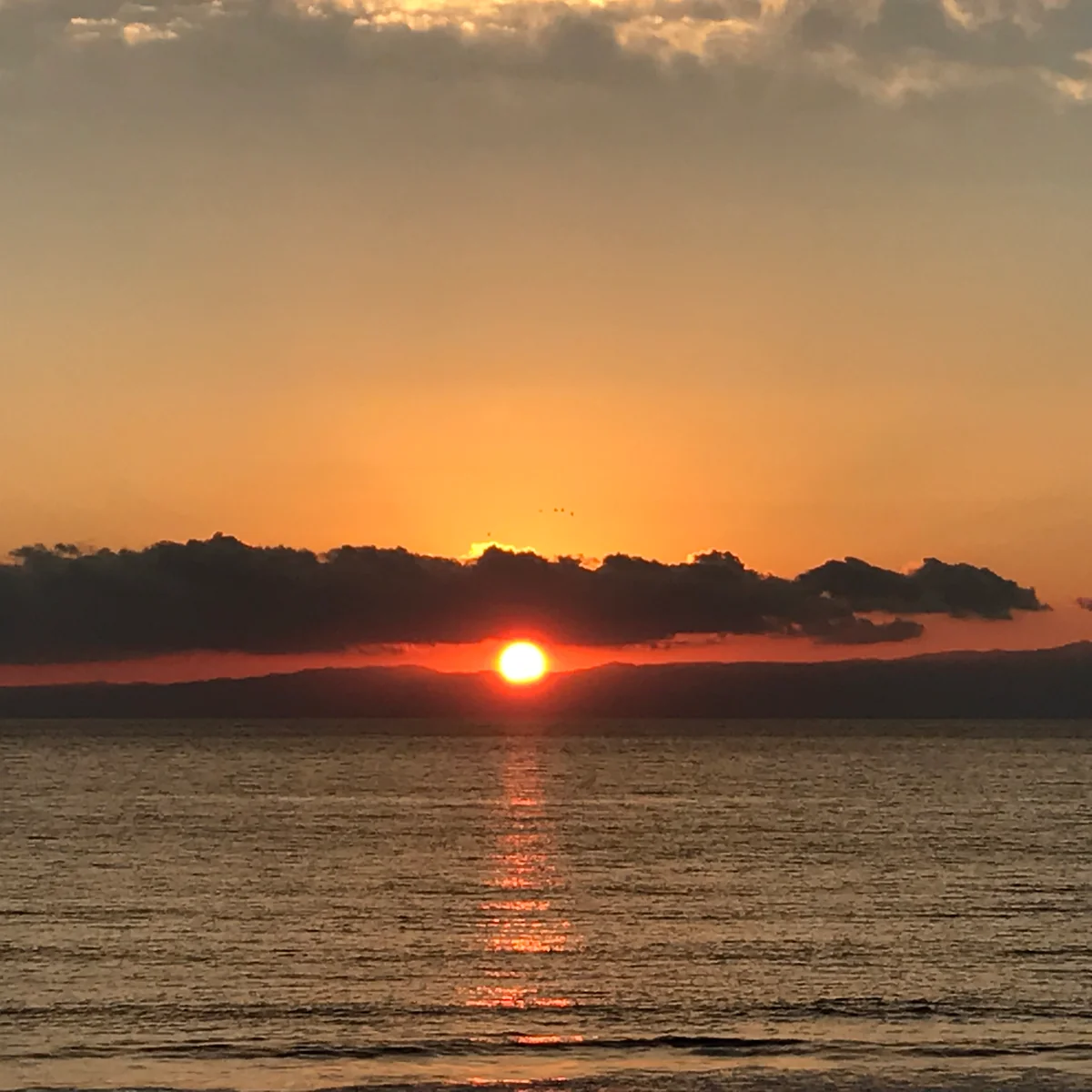 投稿写真：別れを惜しんで