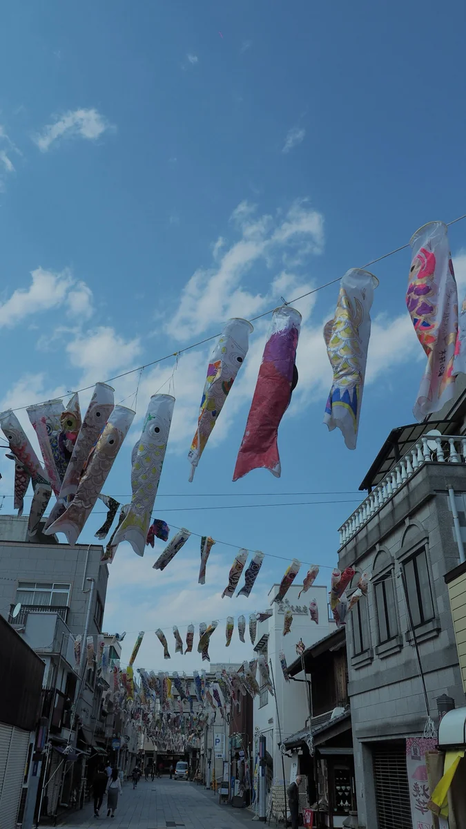 投稿写真：川越　大正浪漫通りの鯉のぼり