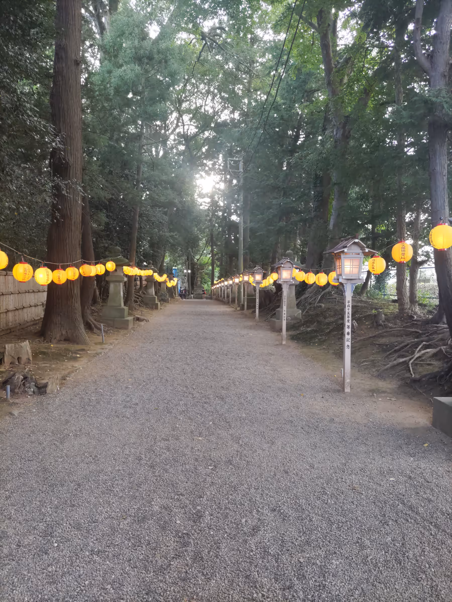 投稿写真：夕暮れの参道