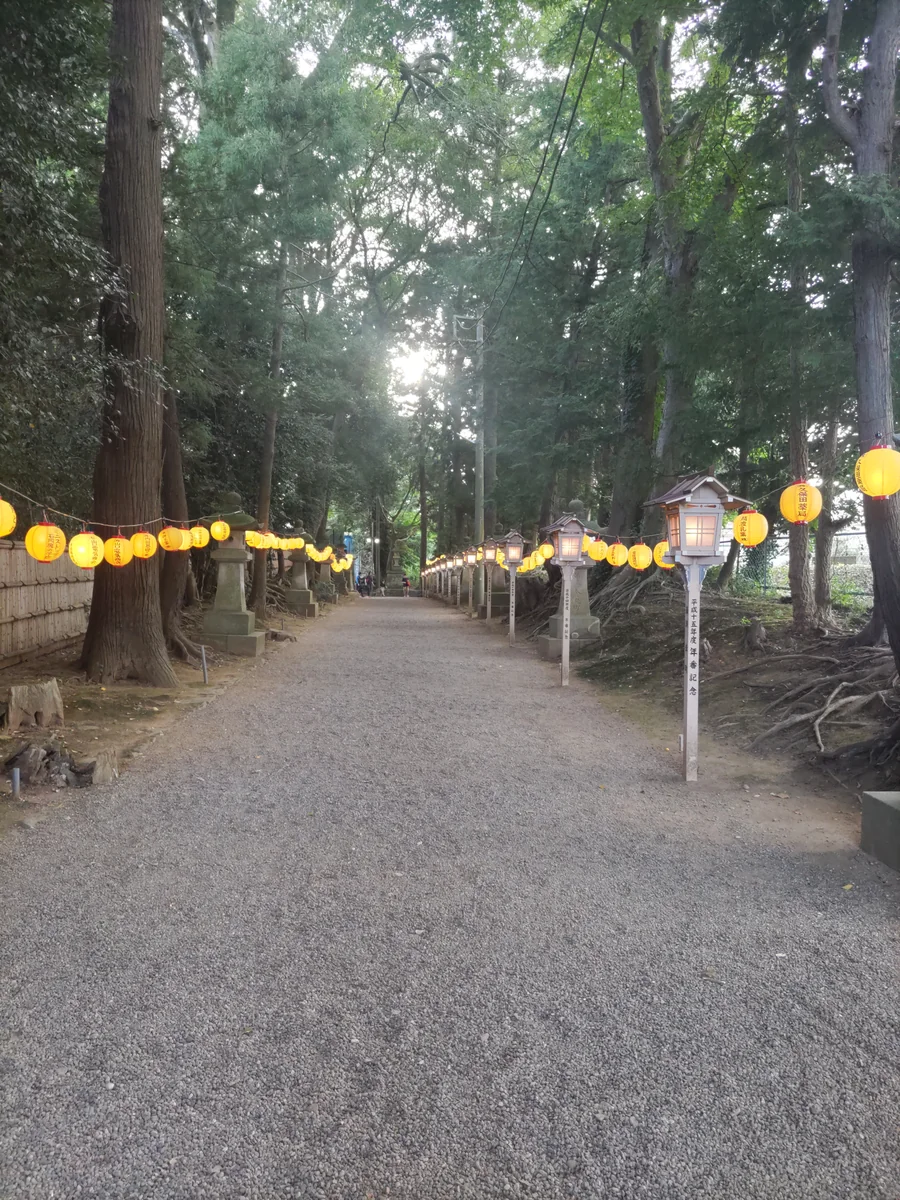 投稿写真：夕暮れの参道