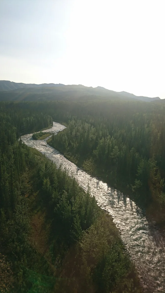 投稿写真：アラスカの大地を流れる川