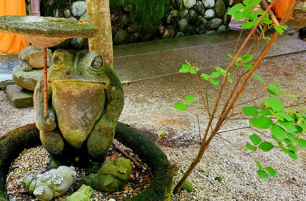 投稿写真：縁結び前のカエル