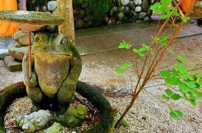  | 絶景事典