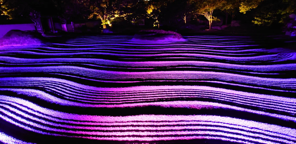 投稿写真：博多旧市街ライトアップウォーク　承天寺