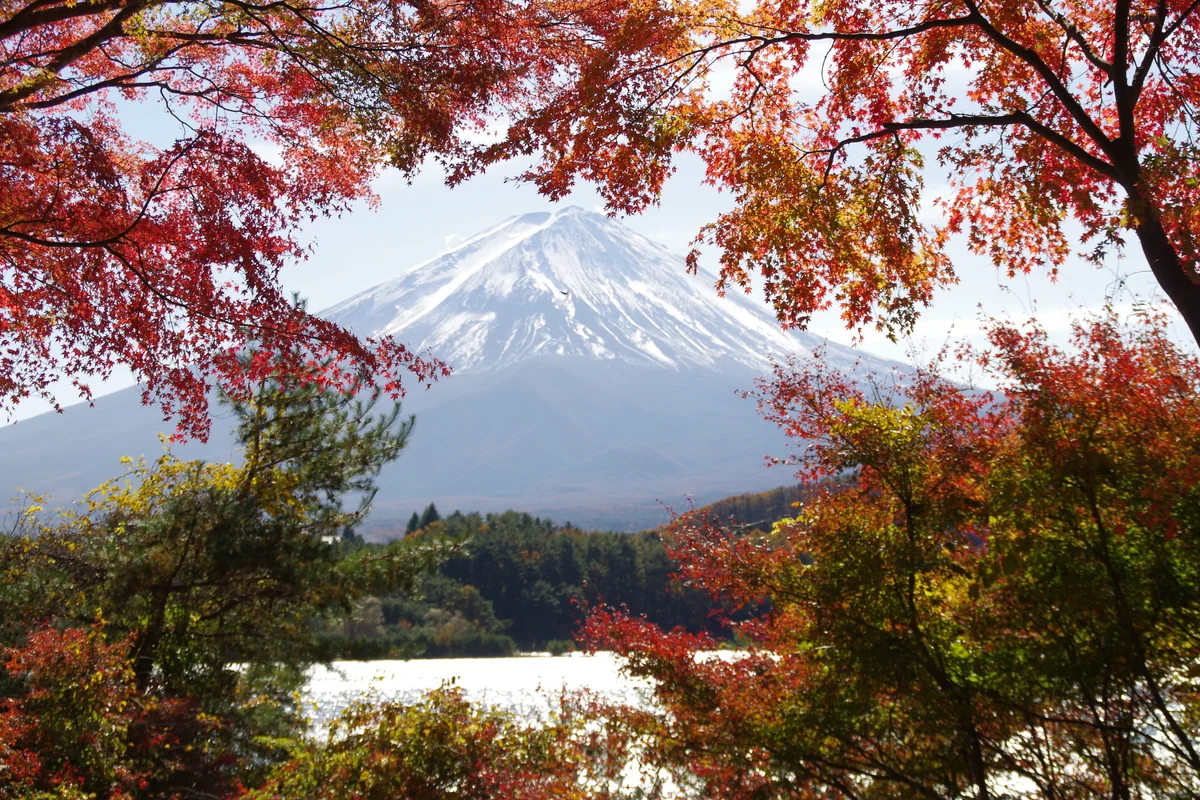 投稿写真：秋の河口湖