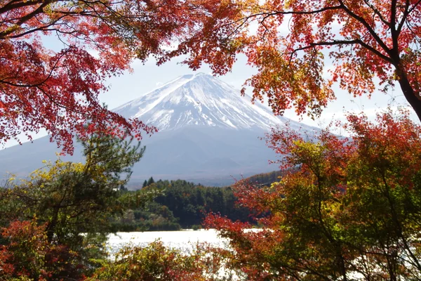 投稿：秋の河口湖