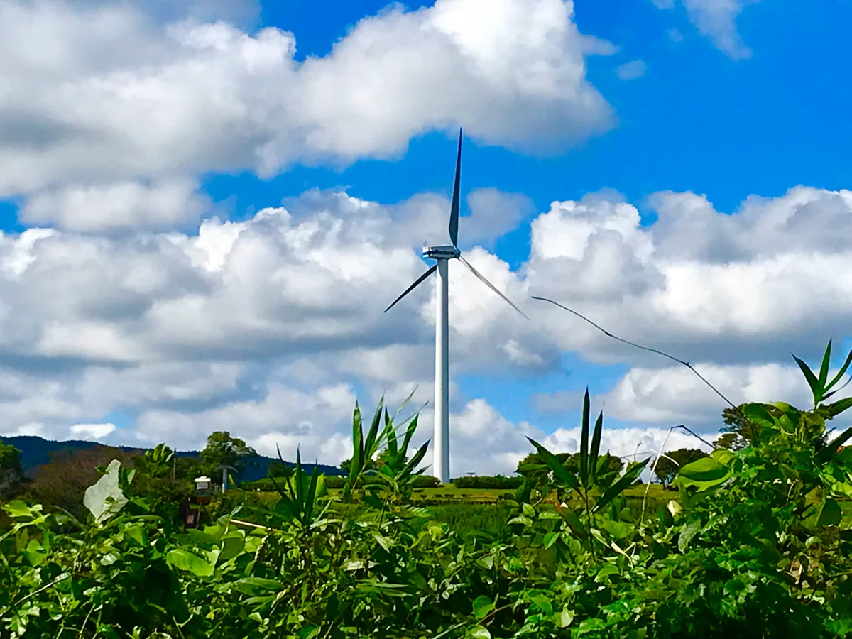 投稿写真：神のように偉大