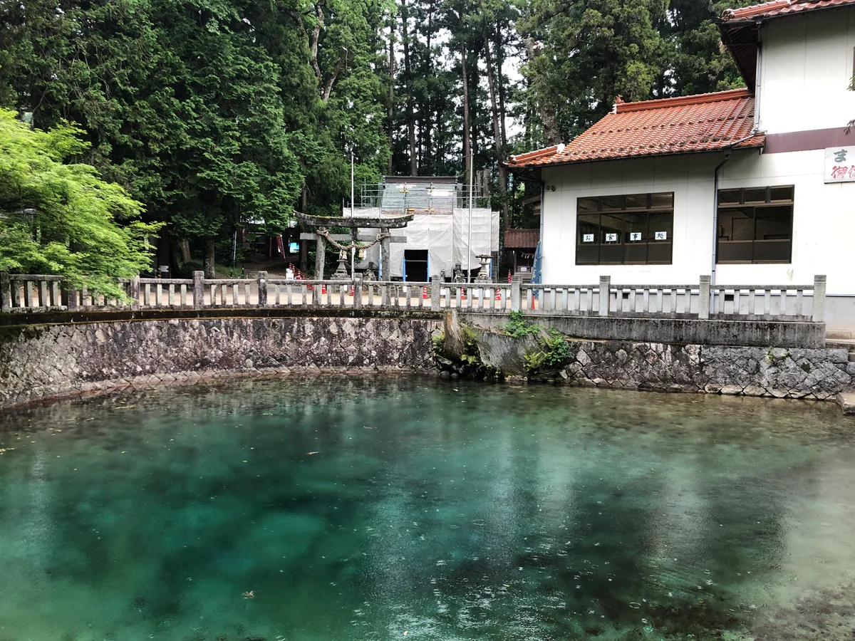 投稿写真：別府弁天池
