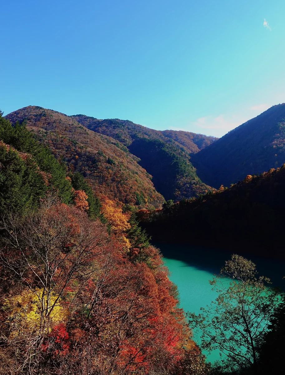 投稿写真：高瀬渓谷の紅葉