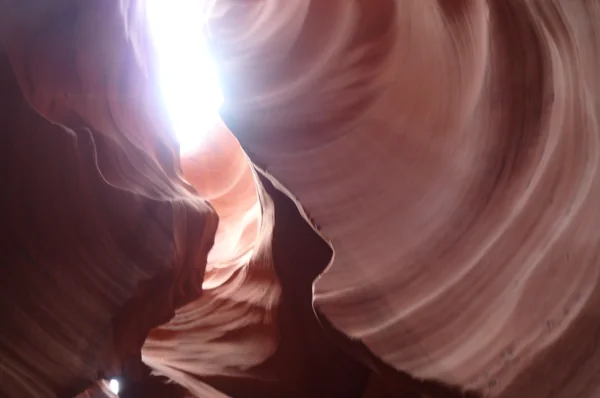 投稿：ネバタ州